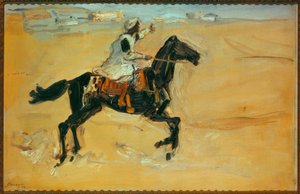 Arabier te paard